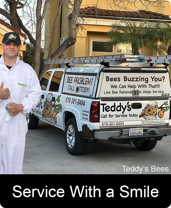 picture of a teddys bee removal service technician with a smile.