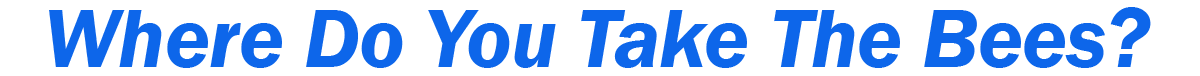 Teddys Bee Removal company logo with text showing our bee removal farm and employees.